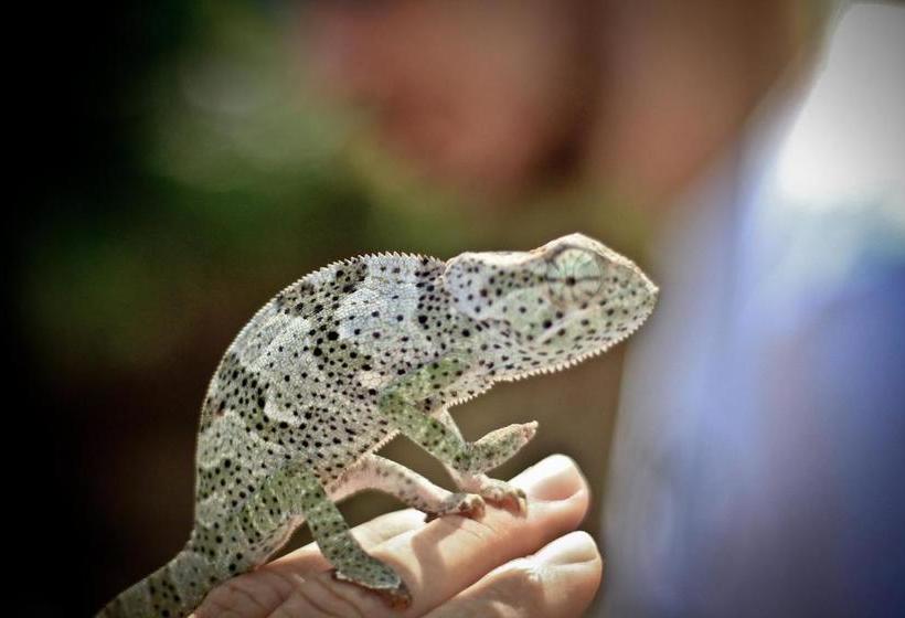 Palumboreef Beach Resort