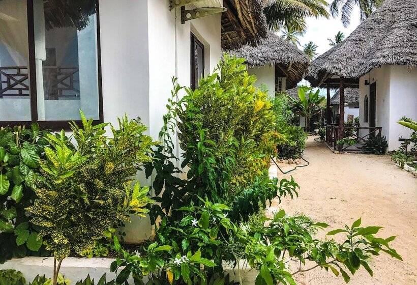 Курорт Jambiani White Sands Bungalows