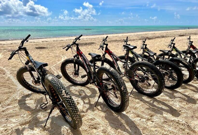 Курорт Jambiani White Sands Bungalows