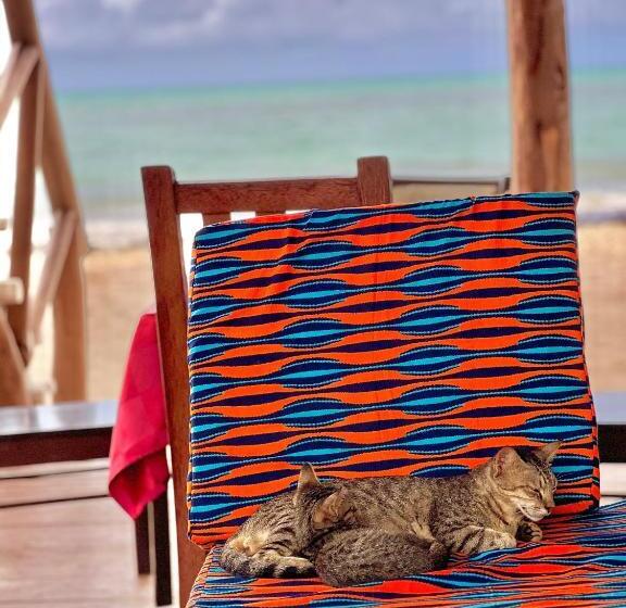 Курорт Jambiani White Sands Bungalows