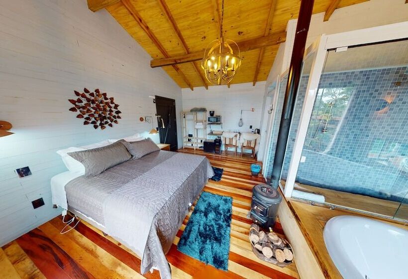 Cisne Negro Villarejo