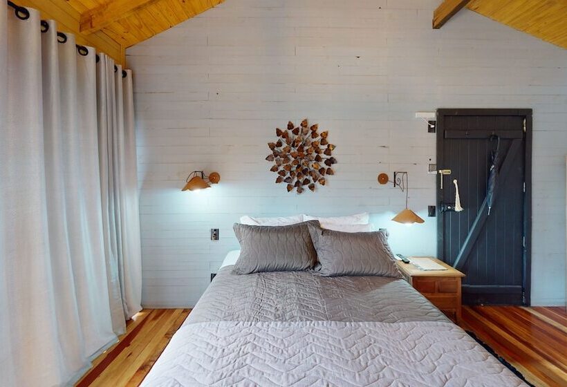 Cisne Negro Villarejo