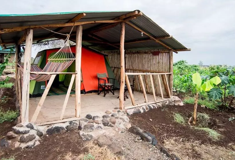 هتل We4kenya Guesthouses And Farm