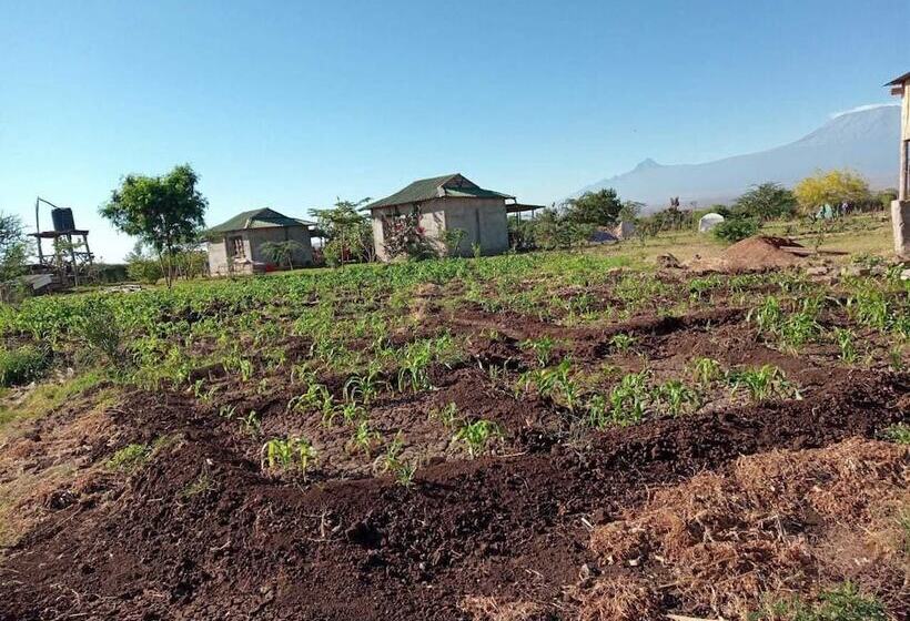 酒店 We4kenya Guesthouses And Farm