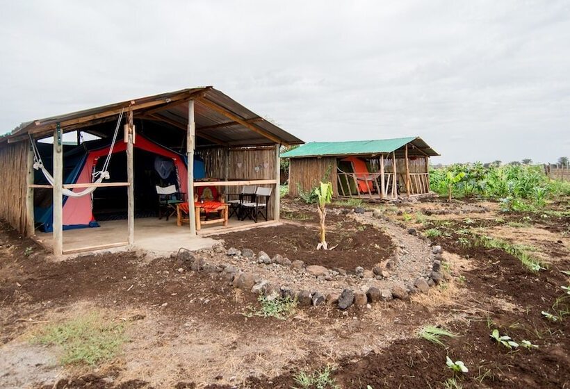 酒店 We4kenya Guesthouses And Farm