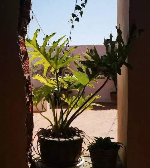 Santa Josefita Bed & Breakfast