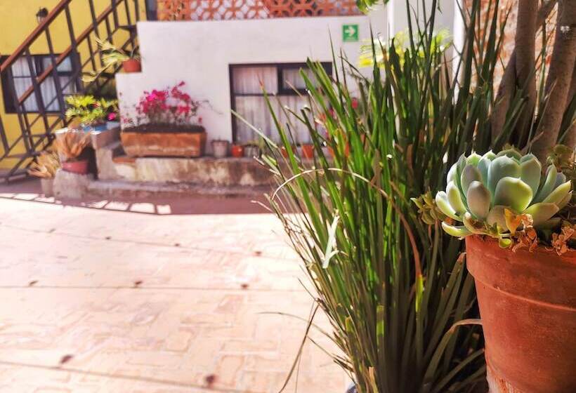 Santa Josefita Bed & Breakfast