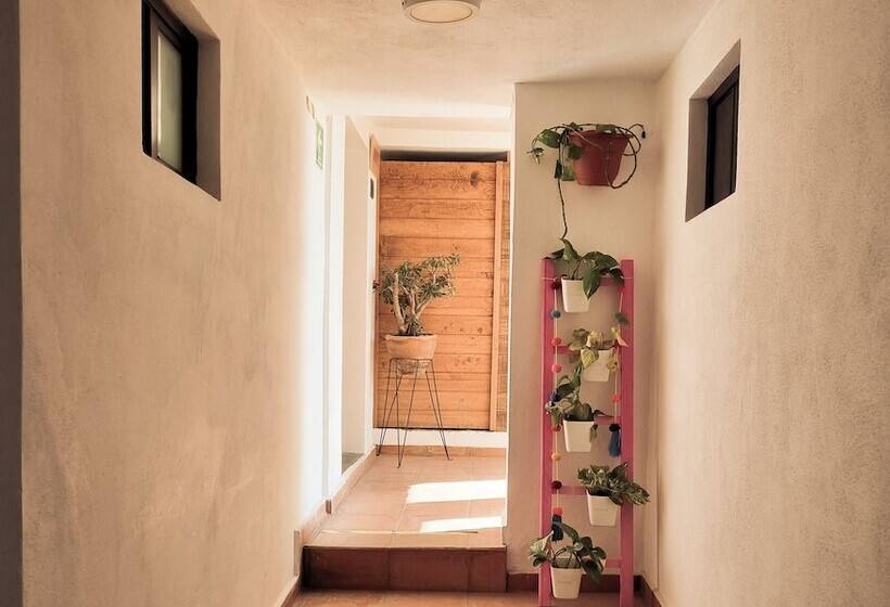 Santa Josefita Bed & Breakfast