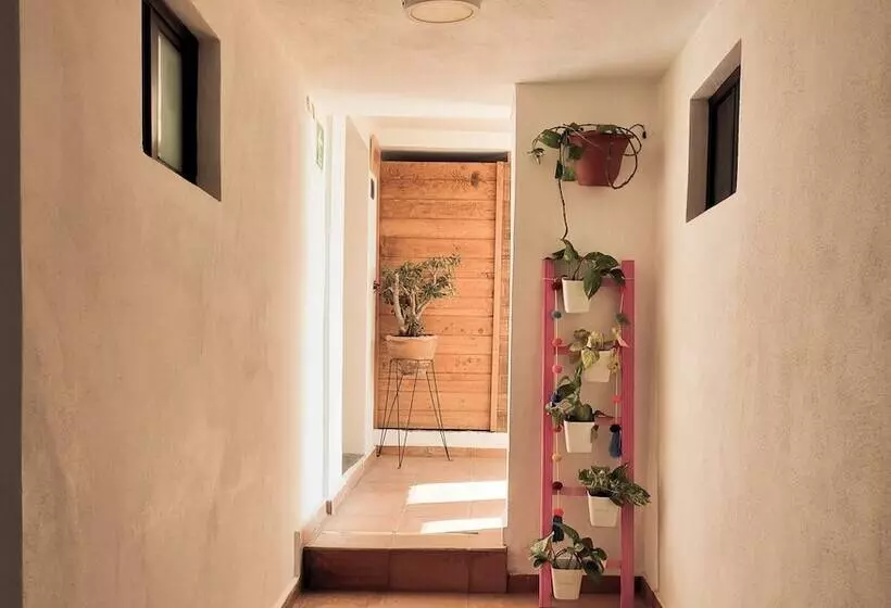 Santa Josefita Bed & Breakfast