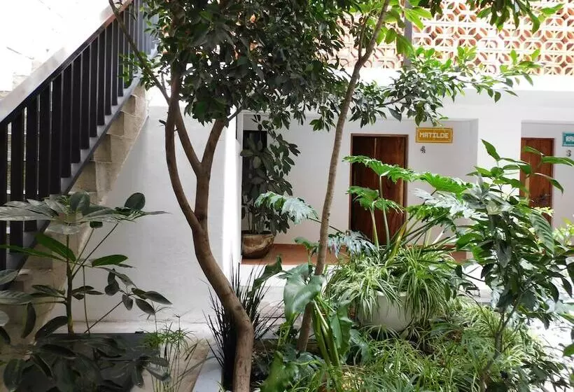 Santa Josefita Bed & Breakfast