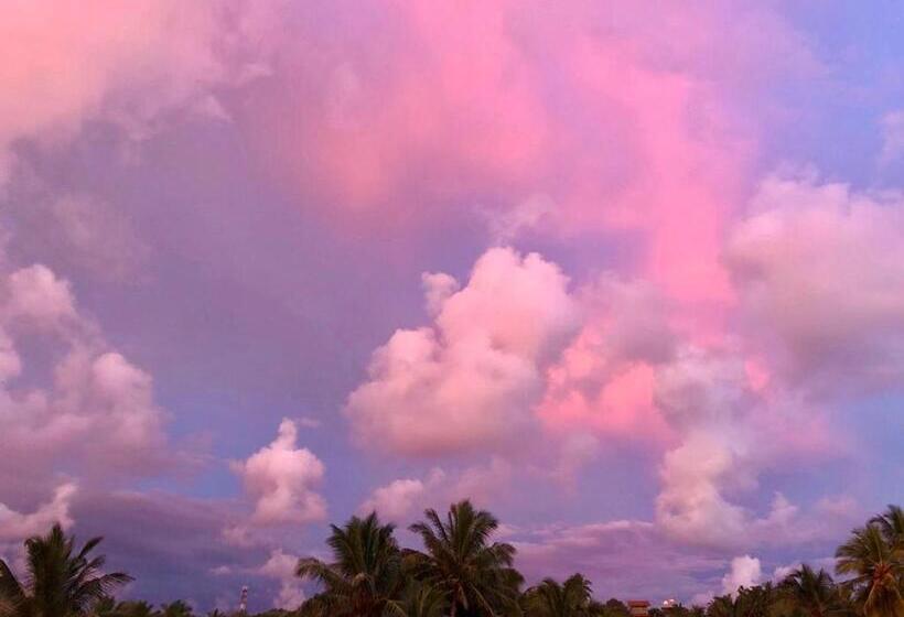 Cămin 中国蒲公英民宿山景别墅与中餐dandelion Guest House Villa With Mount View