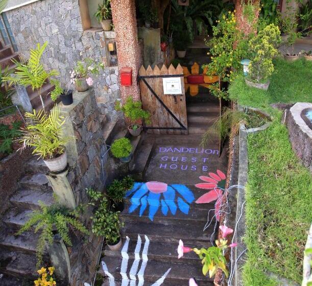 Cămin 中国蒲公英民宿山景别墅与中餐dandelion Guest House Villa With Mount View