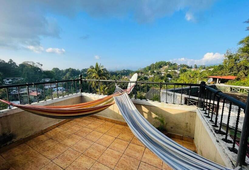 Cămin 中国蒲公英民宿山景别墅与中餐dandelion Guest House Villa With Mount View