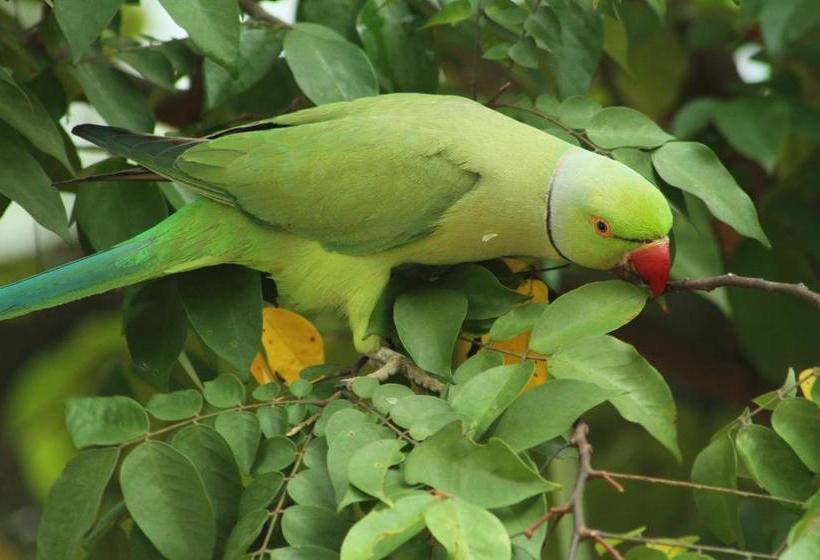 Hostel Kandy Lake Heaven