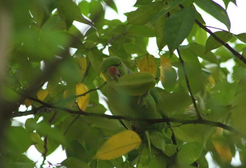 Hostel Kandy Lake Heaven