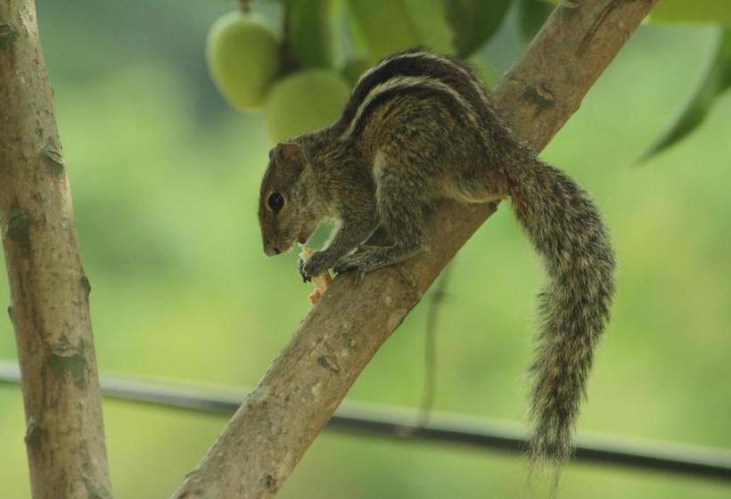Hostel Kandy Lake Heaven