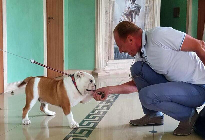 Hermes Resort Hotel With Medical Treatment