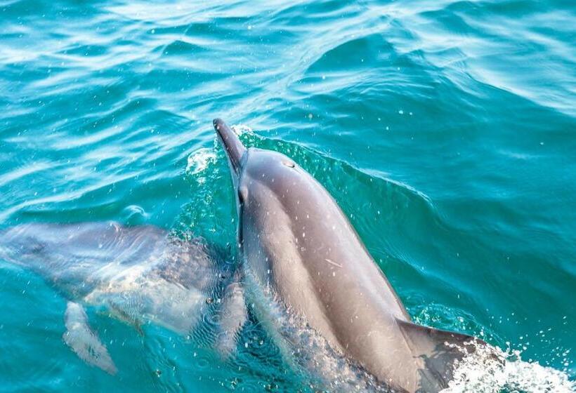 בית מלון כפרי Atara Lagoon Kalpitiya