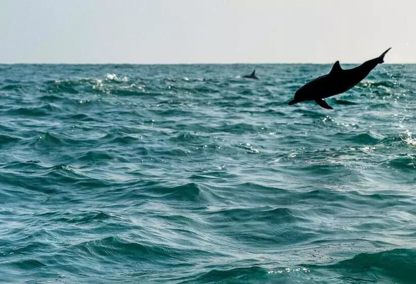 هتل Atara Lagoon Kalpitiya