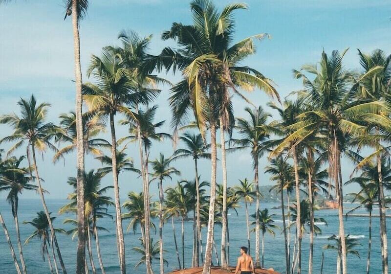 호텔 Mirissa Village