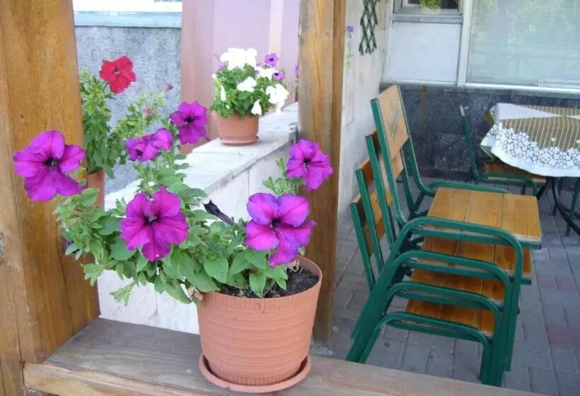 Hotel Profspilkovyi