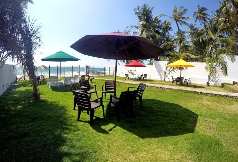 בית מלון כפרי Ramon Beach Resort