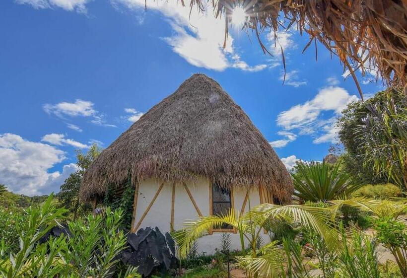 בית מלון כפרי San Augustin   Suite With Mountain View   Colombia