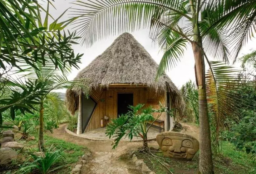 ホテル San Augustin   Suite With Mountain View   Colombia