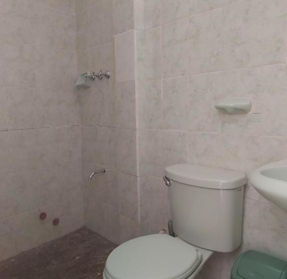 هاستل Hostal Salares