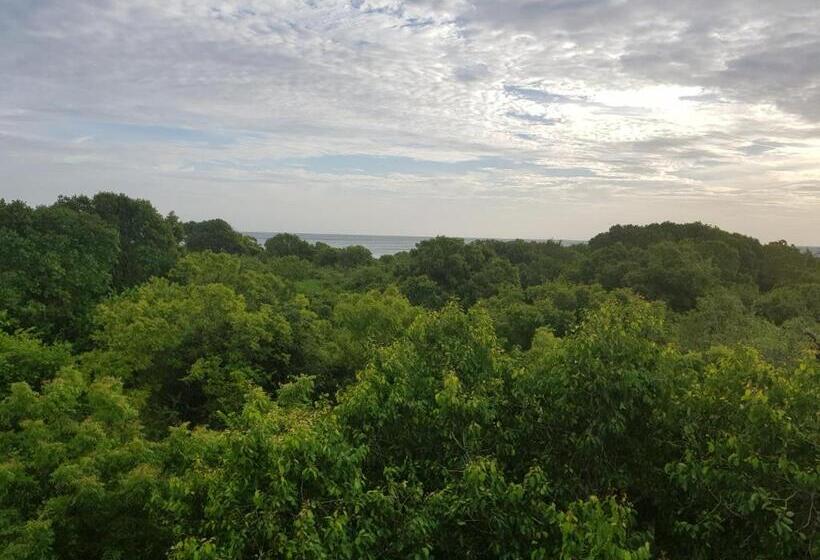 住宿加早餐 Nagenahira Beach Villa