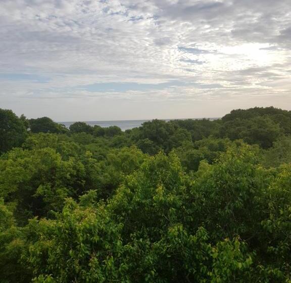 住宿加早餐 Nagenahira Beach Villa