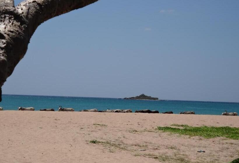 住宿加早餐 Nagenahira Beach Villa