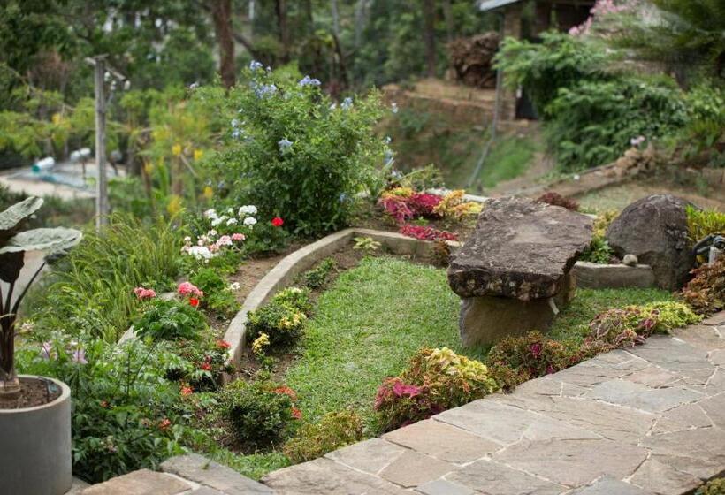 Bed and Breakfast Ravana Heights