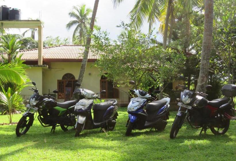 Bed and Breakfast Zum Deutschen