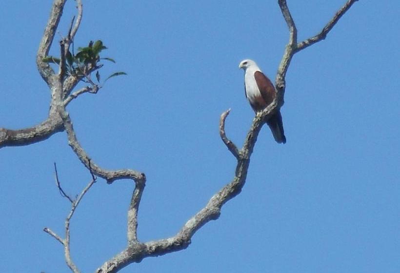 Bed and Breakfast Zum Deutschen