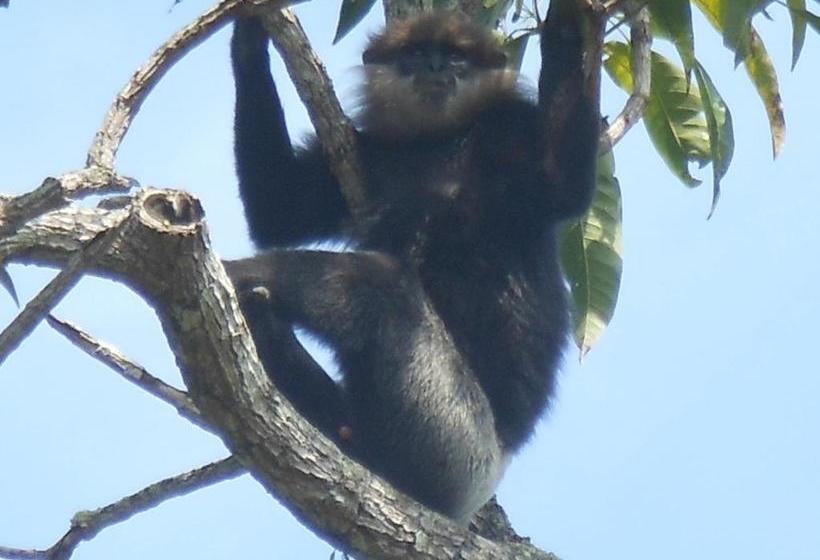 Bed and Breakfast Zum Deutschen