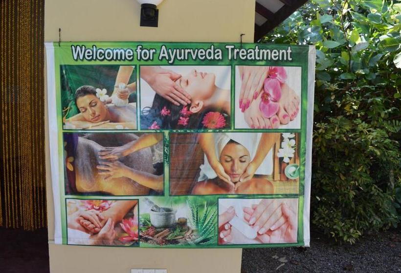 Bed and Breakfast Zum Deutschen