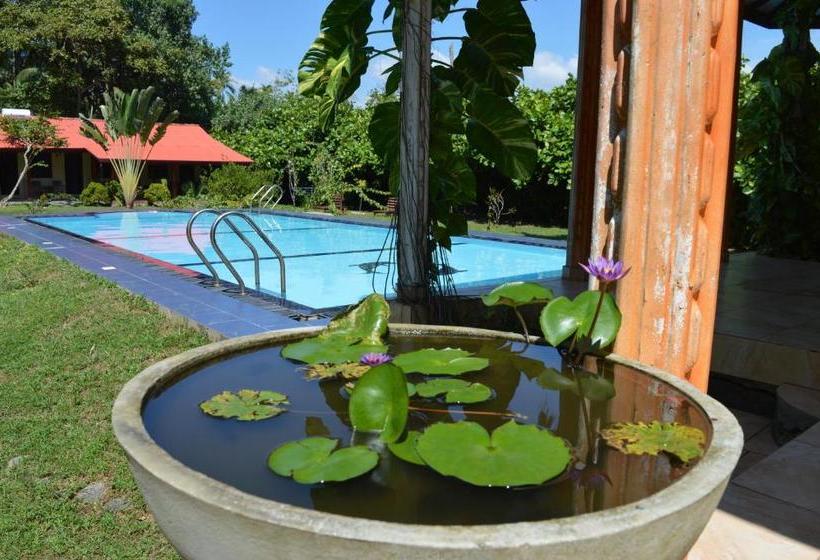 Bed and Breakfast Zum Deutschen