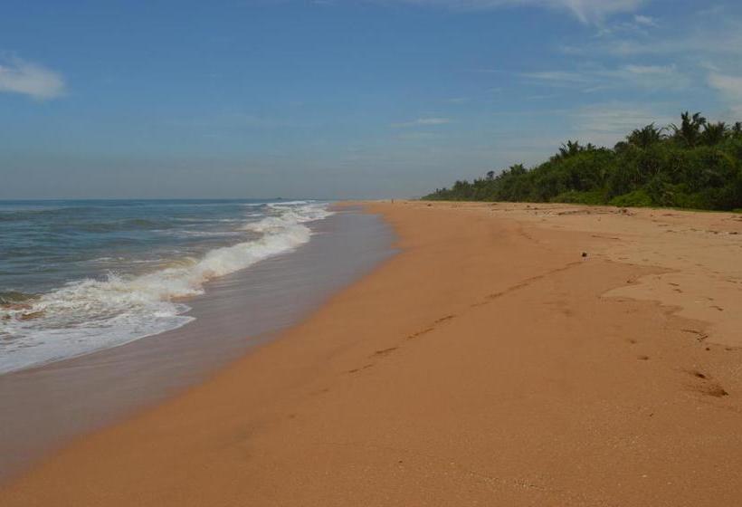 Bed and Breakfast Zum Deutschen