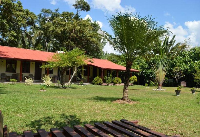 Bed and Breakfast Zum Deutschen