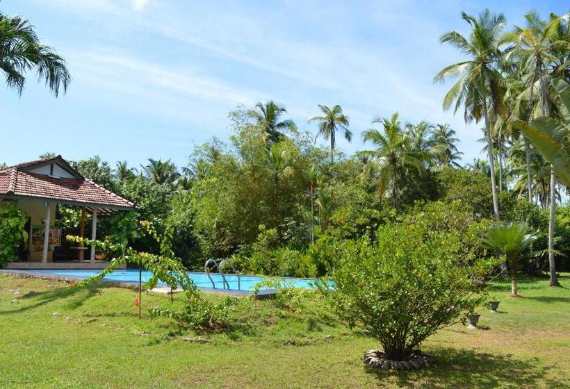 Bed and Breakfast Zum Deutschen