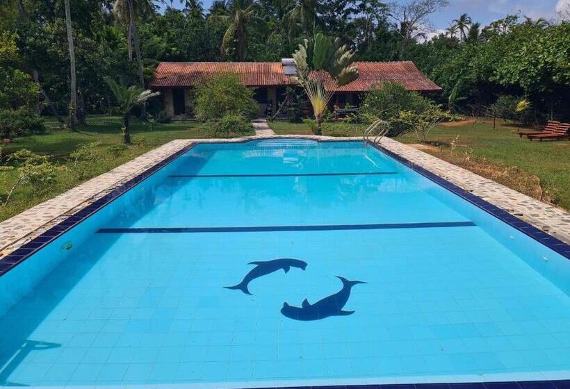 Bed and Breakfast Zum Deutschen