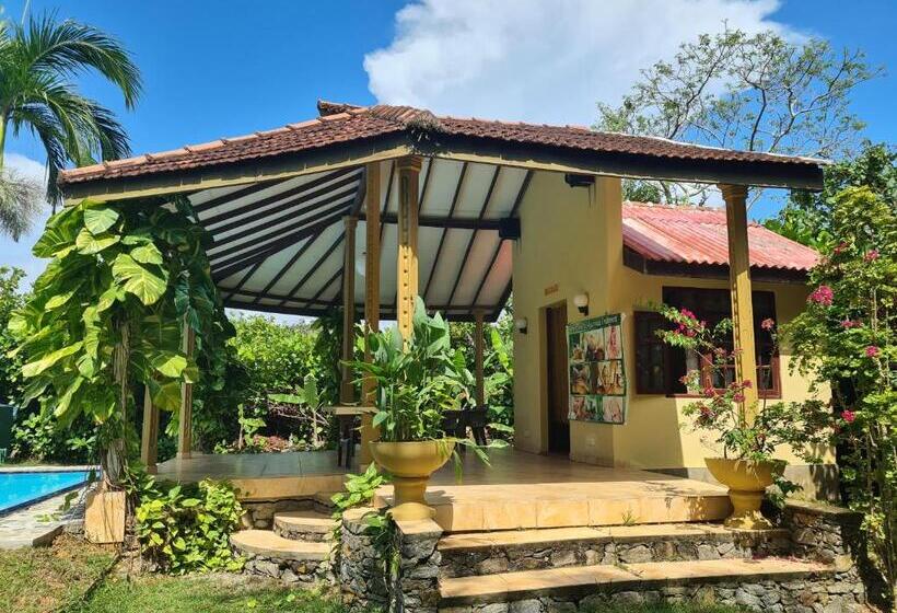 Bed and Breakfast Zum Deutschen