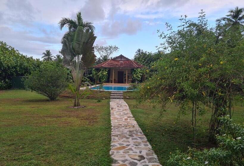 Bed and Breakfast Zum Deutschen