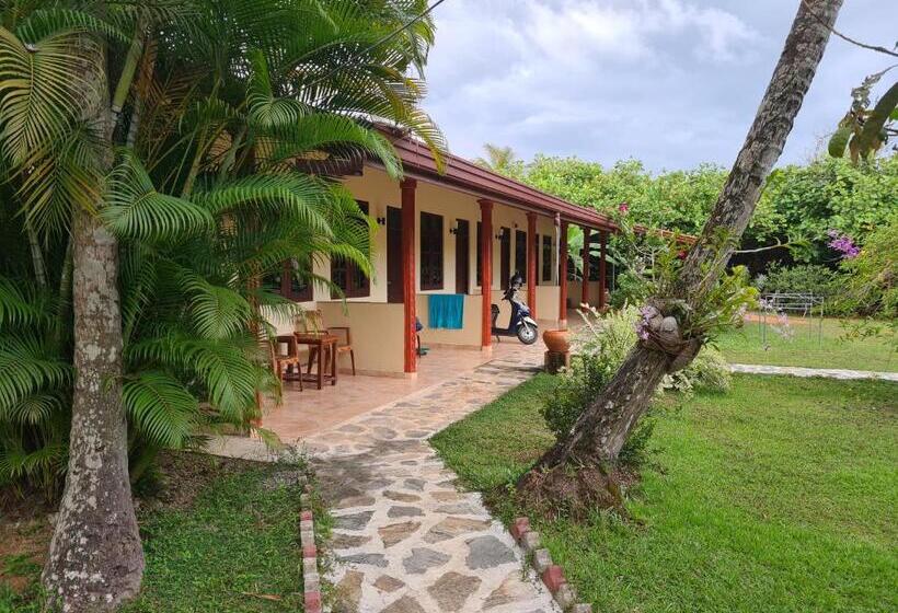 Bed and Breakfast Zum Deutschen