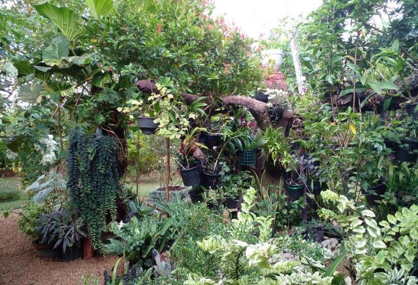 Bed and Breakfast Zum Deutschen