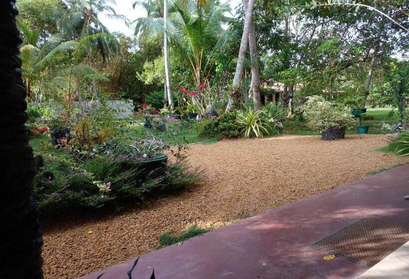 Bed and Breakfast Zum Deutschen