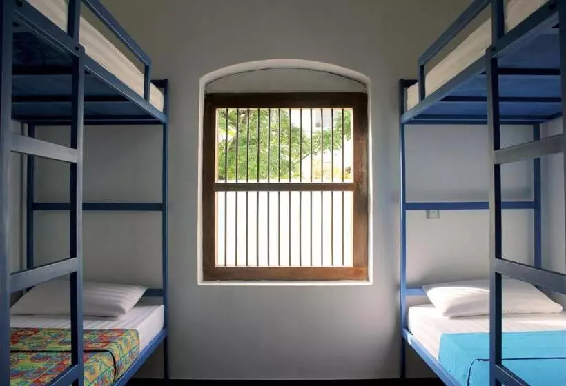 Hostel First