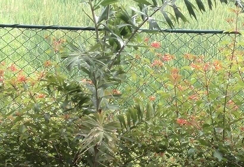 Отель Ancient Village