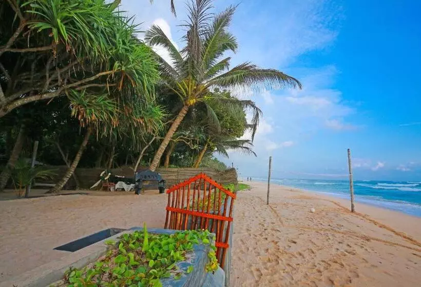 ホテル Haus Am Meer Wilde Ananas